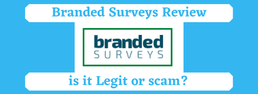 Branded Surveys Review